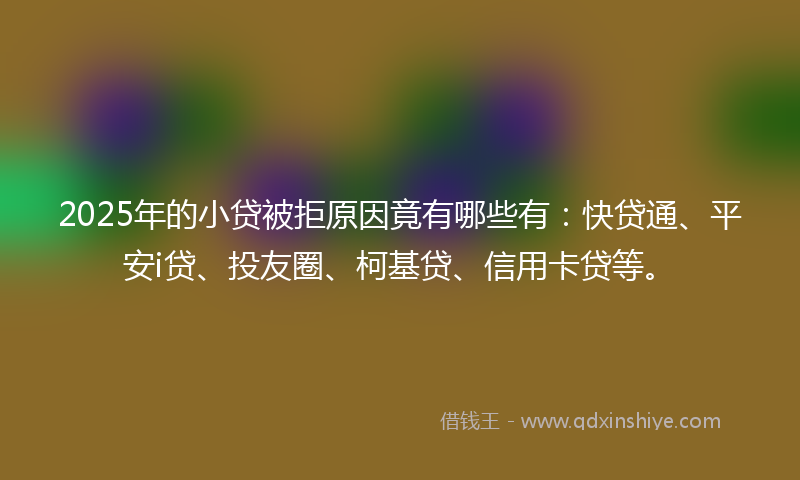 2025年的小贷被拒原因竟有哪些有：快贷通、平安i贷、投友圈、柯基贷、信用卡贷等。