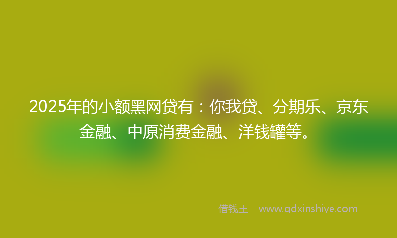 2025年的小额黑网贷有：你我贷、分期乐、京东金融、中原消费金融、洋钱罐等。
