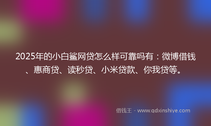 2025年的小白鲨网贷怎么样可靠吗有：微博借钱、惠商贷、读秒贷、小米贷款、你我贷等。