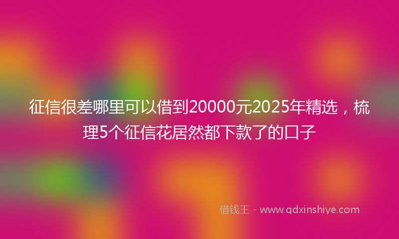 征信很差哪里可以借到20000元2025年精选，梳理5个征信花居然都下款了的口子