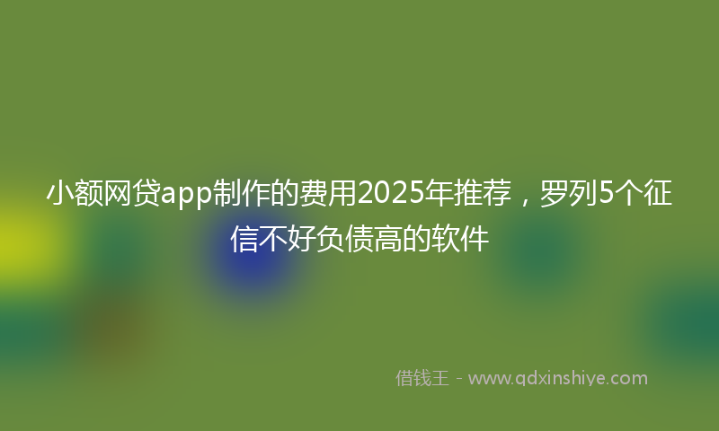 小额网贷app制作的费用2025年推荐，罗列5个征信不好负债高的软件