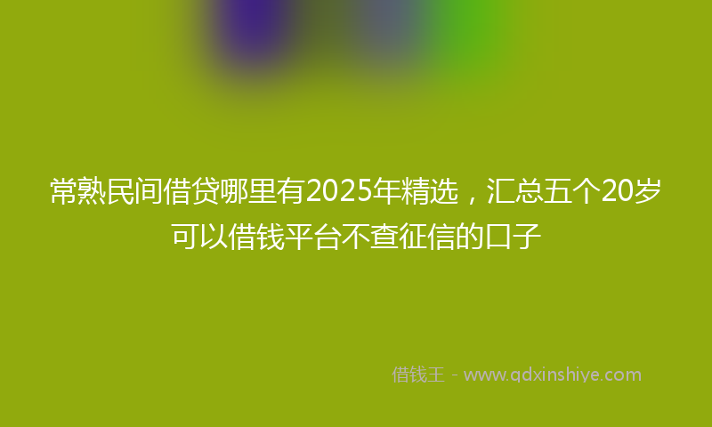 常熟民间借贷哪里有2025年精选，汇总五个20岁可以借钱平台不查征信的口子