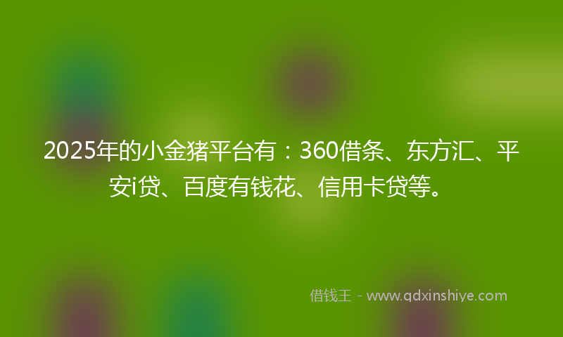 2025年的小金猪平台有：360借条、东方汇、平安i贷、百度有钱花、信用卡贷等。