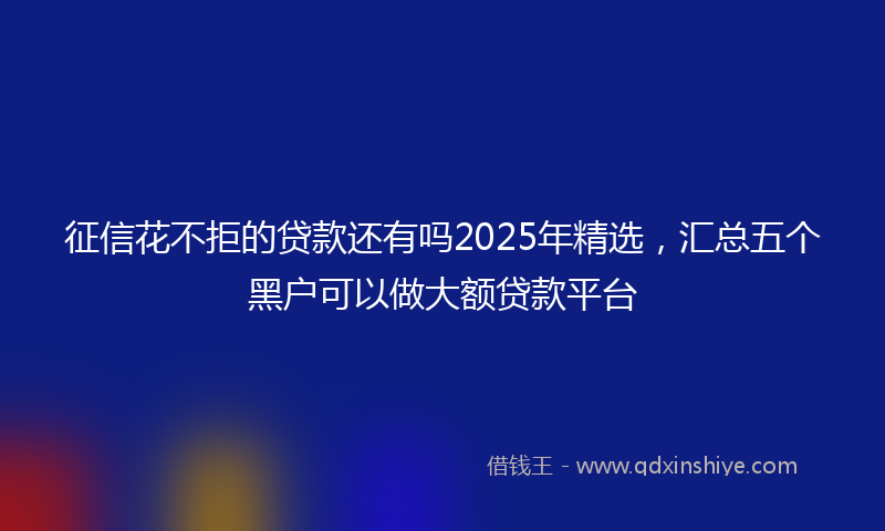 征信花不拒的贷款还有吗2025年精选，汇总五个黑户可以做大额贷款平台