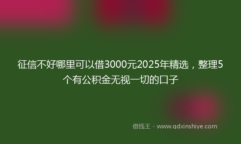 征信不好哪里可以借3000元2025年精选，整理5个有公积金无视一切的口子