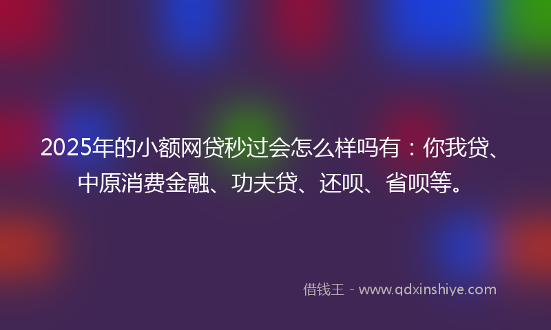 2025年的小额网贷秒过会怎么样吗有：你我贷、中原消费金融、功夫贷、还呗、省呗等。