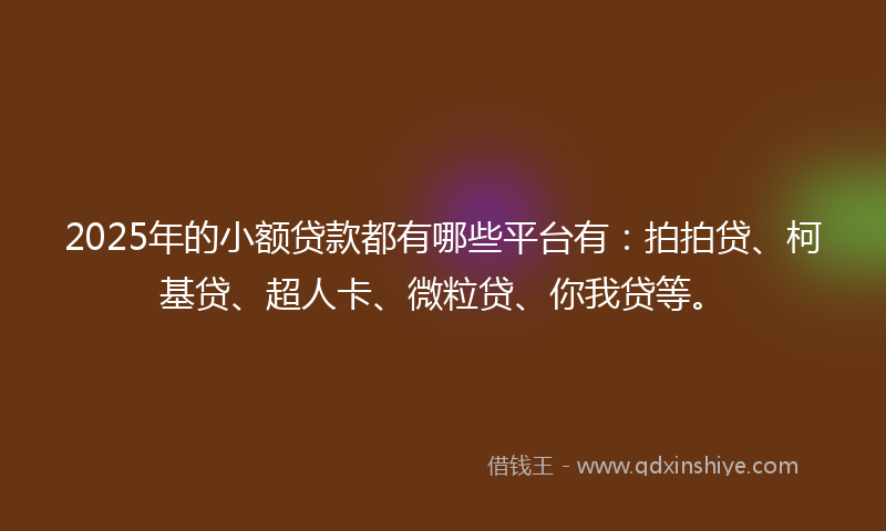 2025年的小额贷款都有哪些平台有：拍拍贷、柯基贷、超人卡、微粒贷、你我贷等。