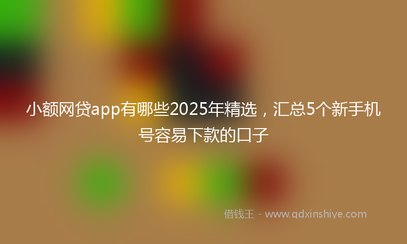 小额网贷app有哪些2025年精选，汇总5个新手机号容易下款的口子