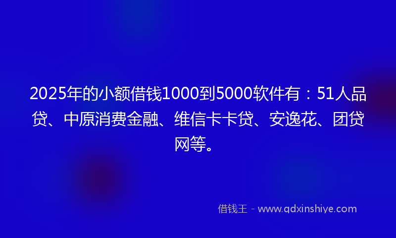 2025年的小额借钱1000到5000软件有：51人品贷、中原消费金融、维信卡卡贷、安逸花、团贷网等。