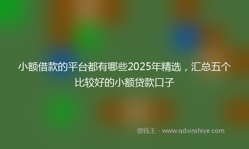 小额借款的平台都有哪些2025年精选，汇总五个比较好的小额贷款口子
