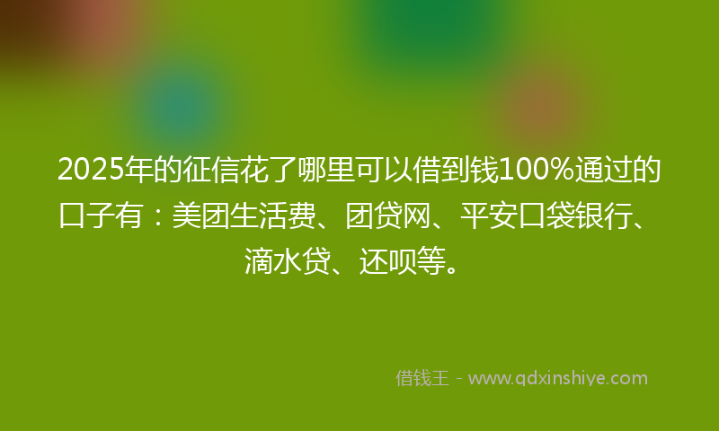 2025年的征信花了哪里可以借到钱100%通过的口子有：美团生活费、团贷网、平安口袋银行、滴水贷、还呗等。