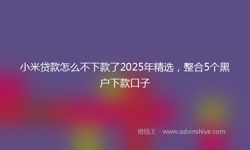 小米贷款怎么不下款了2025年精选，整合5个黑户下款口子
