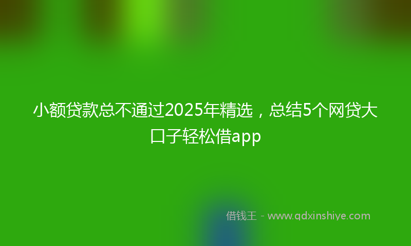 小额贷款总不通过2025年精选，总结5个网贷大口子轻松借app