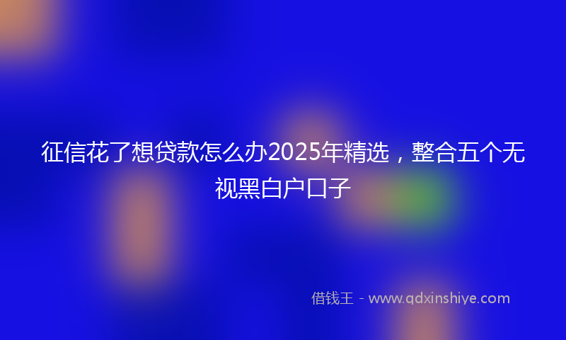 征信花了想贷款怎么办2025年精选，整合五个无视黑白户口子