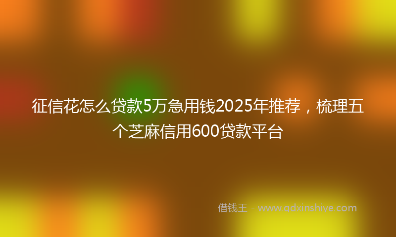 征信花怎么贷款5万急用钱2025年推荐，梳理五个芝麻信用600贷款平台