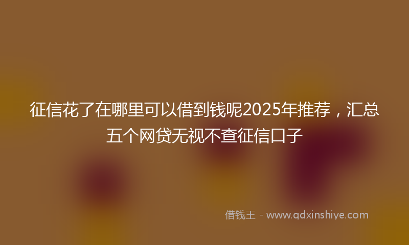 征信花了在哪里可以借到钱呢2025年推荐，汇总五个网贷无视不查征信口子