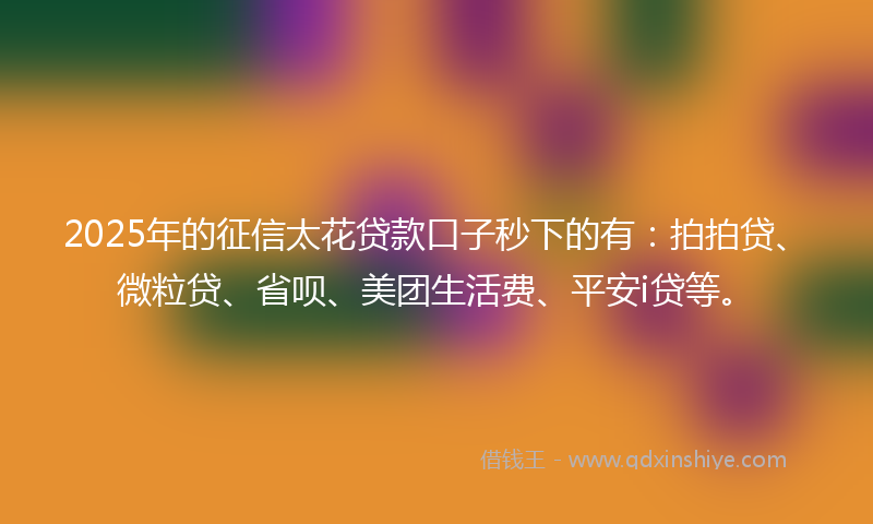2025年的征信太花贷款口子秒下的有：拍拍贷、微粒贷、省呗、美团生活费、平安i贷等。