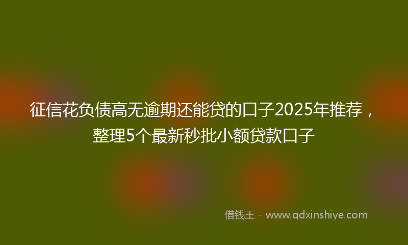 征信花负债高无逾期还能贷的口子2025年推荐，整理5个最新秒批小额贷款口子