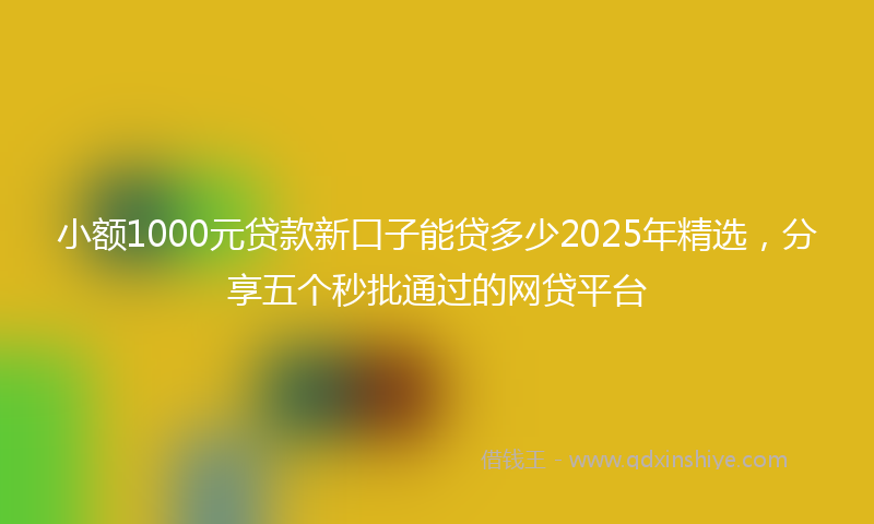 小额1000元贷款新口子能贷多少2025年精选，分享五个秒批通过的网贷平台