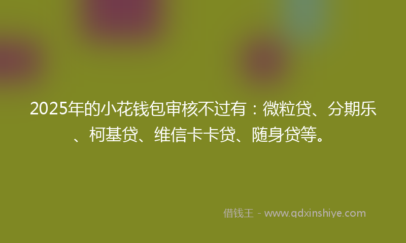 2025年的小花钱包审核不过有：微粒贷、分期乐、柯基贷、维信卡卡贷、随身贷等。