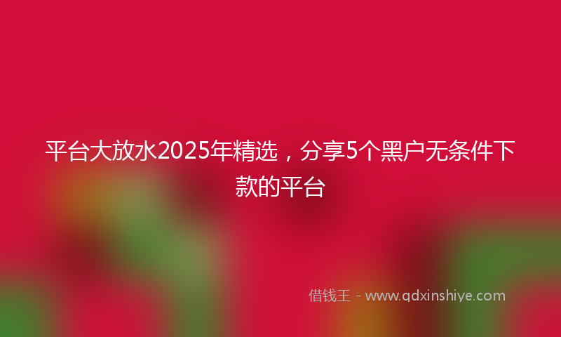 平台大放水2025年精选，分享5个黑户无条件下款的平台