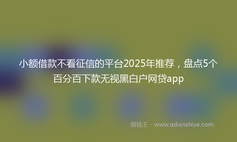 小额借款不看征信的平台2025年推荐，盘点5个百分百下款无视黑白户网贷app