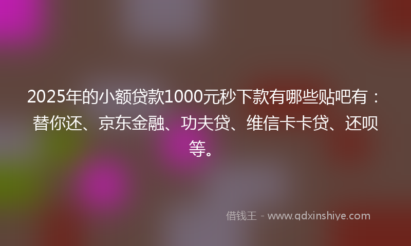 2025年的小额贷款1000元秒下款有哪些贴吧有：替你还、京东金融、功夫贷、维信卡卡贷、还呗等。