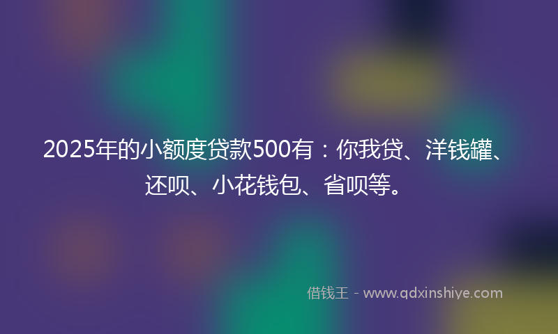 2025年的小额度贷款500有：你我贷、洋钱罐、还呗、小花钱包、省呗等。