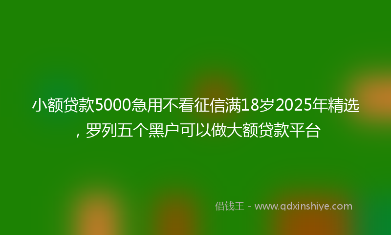 小额贷款5000急用不看征信满18岁2025年精选，罗列五个黑户可以做大额贷款平台