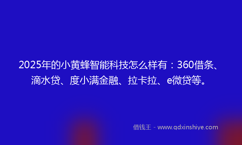2025年的小黄蜂智能科技怎么样有：360借条、滴水贷、度小满金融、拉卡拉、e微贷等。