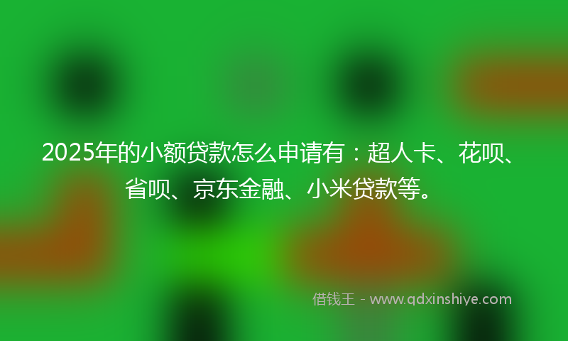 2025年的小额贷款怎么申请有：超人卡、花呗、省呗、京东金融、小米贷款等。