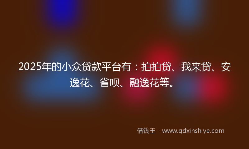 2025年的小众贷款平台有：拍拍贷、我来贷、安逸花、省呗、融逸花等。