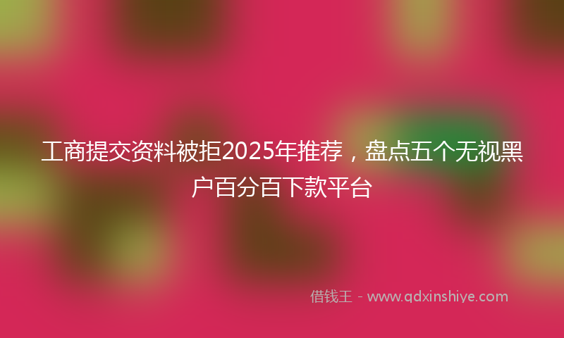 工商提交资料被拒2025年推荐，盘点五个无视黑户百分百下款平台