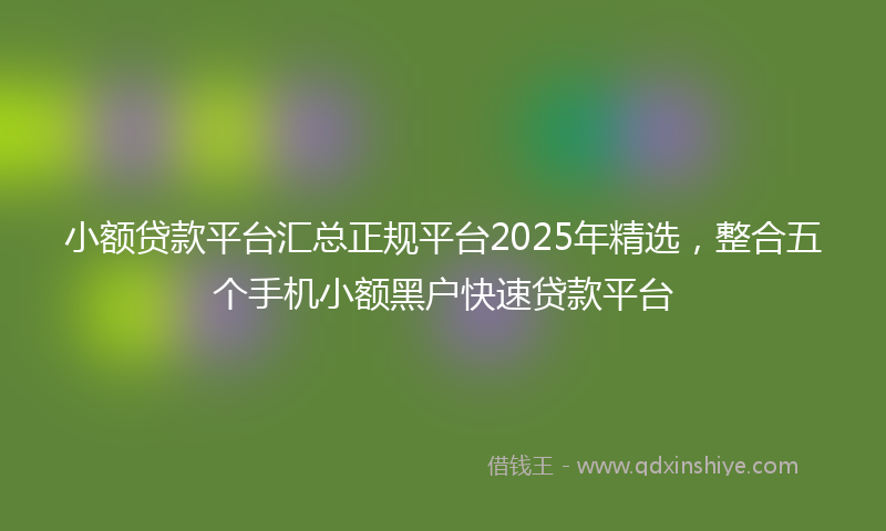 小额贷款平台汇总正规平台2025年精选，整合五个手机小额黑户快速贷款平台