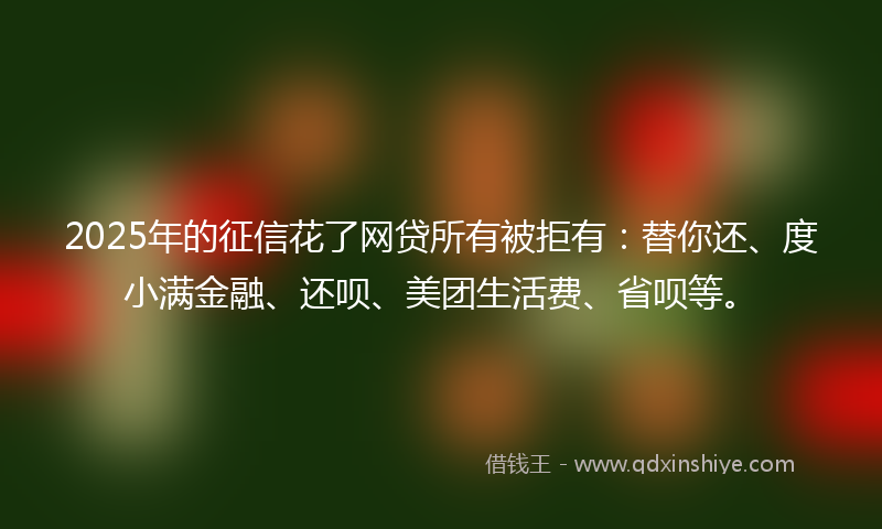 2025年的征信花了网贷所有被拒有：替你还、度小满金融、还呗、美团生活费、省呗等。