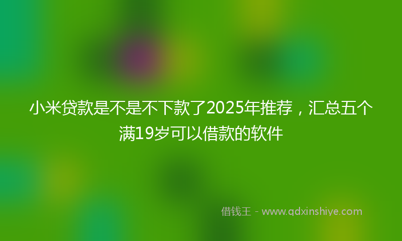 小米贷款是不是不下款了2025年推荐，汇总五个满19岁可以借款的软件
