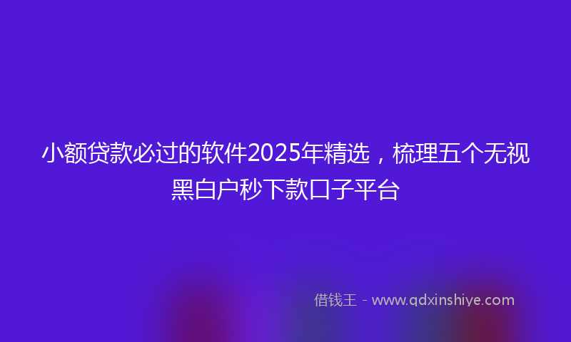 小额贷款必过的软件2025年精选，梳理五个无视黑白户秒下款口子平台