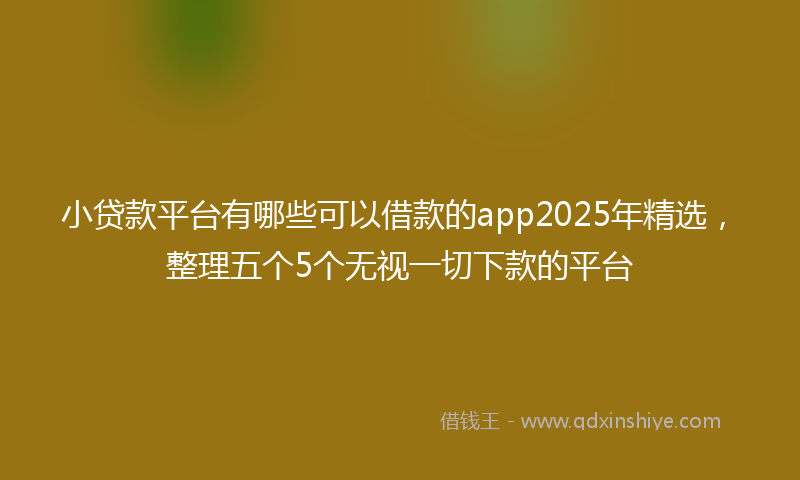 小贷款平台有哪些可以借款的app2025年精选，整理五个5个无视一切下款的平台