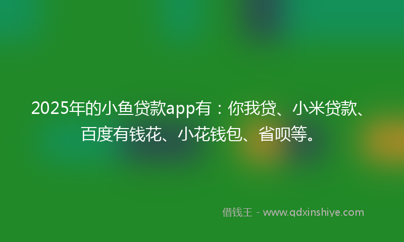 2025年的小鱼贷款app有：你我贷、小米贷款、百度有钱花、小花钱包、省呗等。