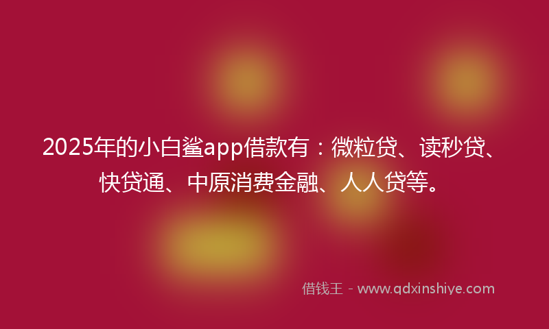 2025年的小白鲨app借款有：微粒贷、读秒贷、快贷通、中原消费金融、人人贷等。
