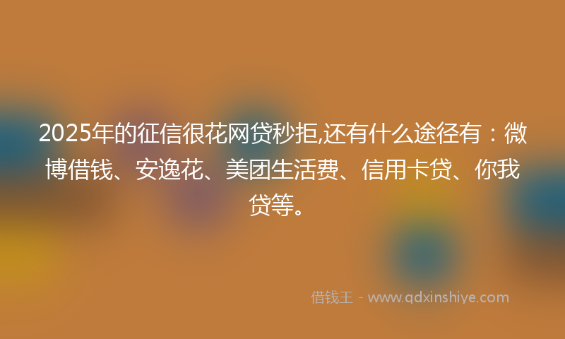 2025年的征信很花网贷秒拒,还有什么途径有：微博借钱、安逸花、美团生活费、信用卡贷、你我贷等。