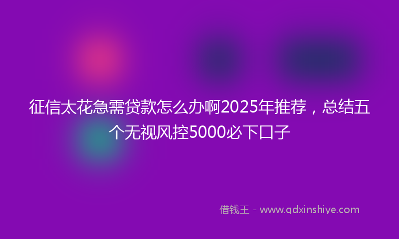 征信太花急需贷款怎么办啊2025年推荐，总结五个无视风控5000必下口子