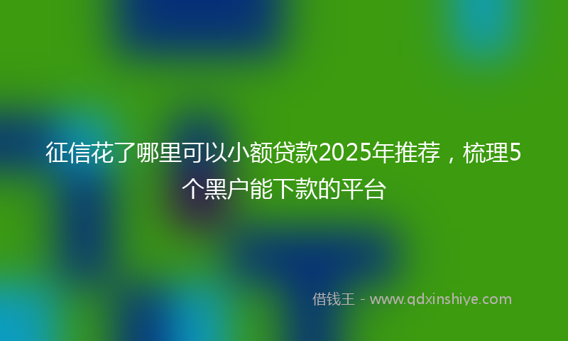 征信花了哪里可以小额贷款2025年推荐，梳理5个黑户能下款的平台
