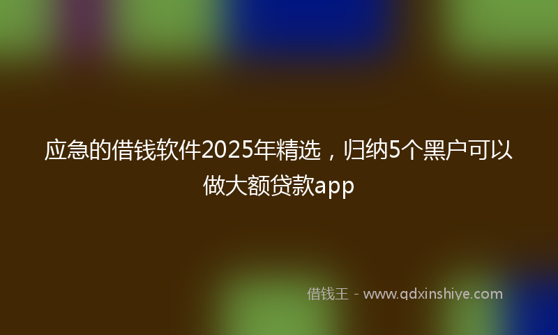 应急的借钱软件2025年精选，归纳5个黑户可以做大额贷款app
