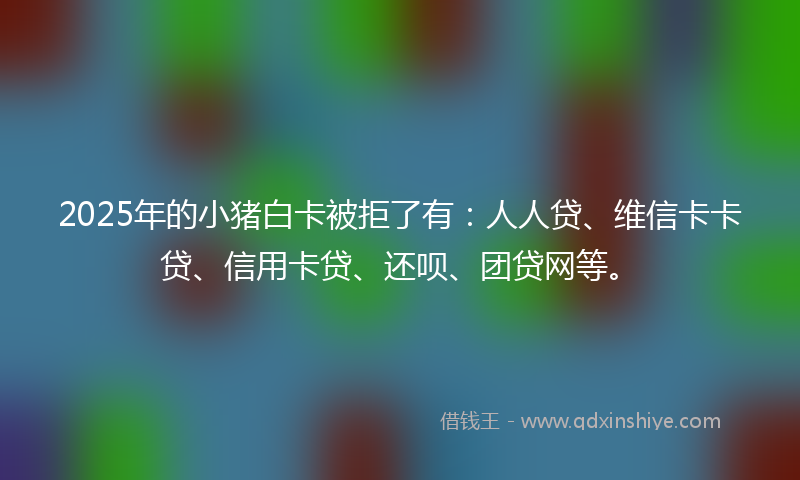 2025年的小猪白卡被拒了有：人人贷、维信卡卡贷、信用卡贷、还呗、团贷网等。