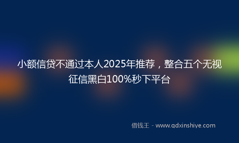 小额信贷不通过本人2025年推荐，整合五个无视征信黑白100%秒下平台
