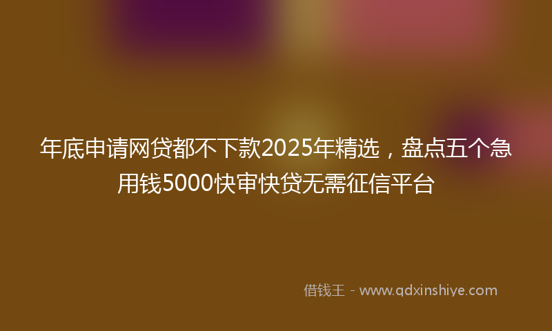 年底申请网贷都不下款2025年精选，盘点五个急用钱5000快审快贷无需征信平台