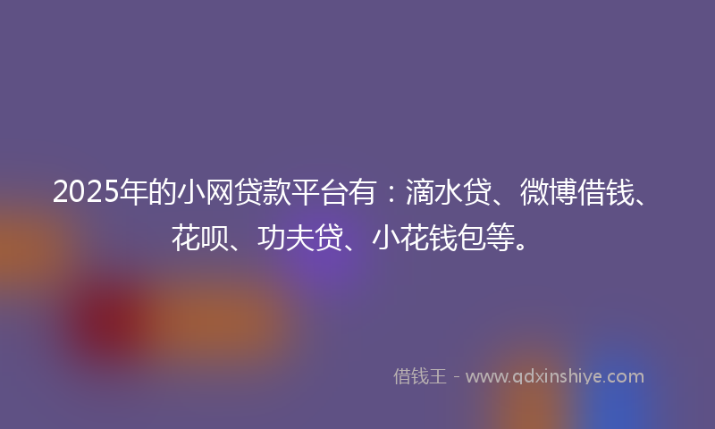 2025年的小网贷款平台有：滴水贷、微博借钱、花呗、功夫贷、小花钱包等。