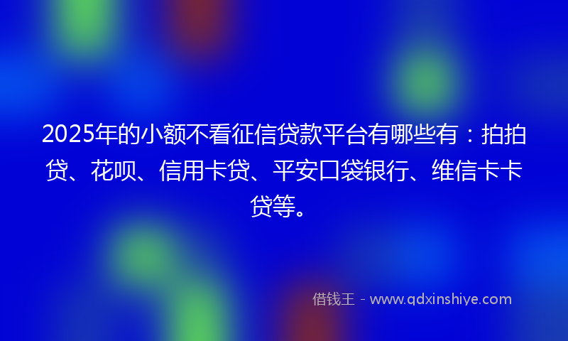 2025年的小额不看征信贷款平台有哪些有：拍拍贷、花呗、信用卡贷、平安口袋银行、维信卡卡贷等。