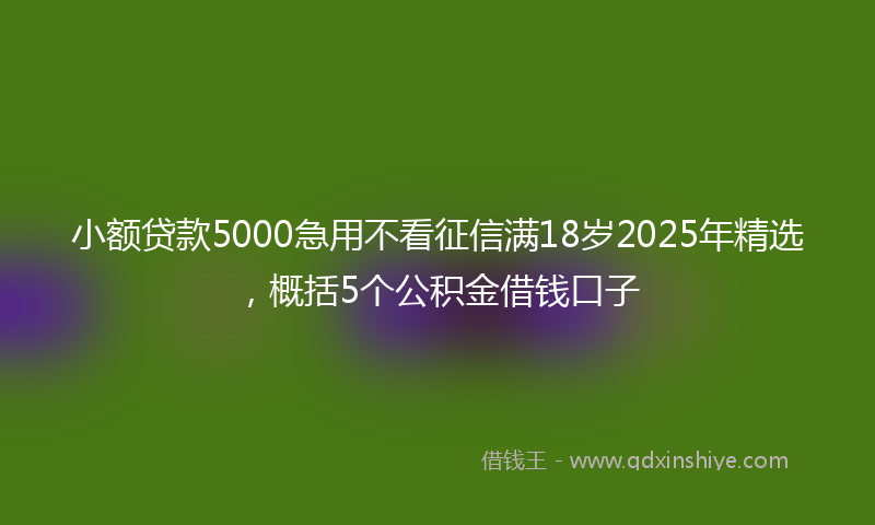 小额贷款5000急用不看征信满18岁2025年精选，概括5个公积金借钱口子